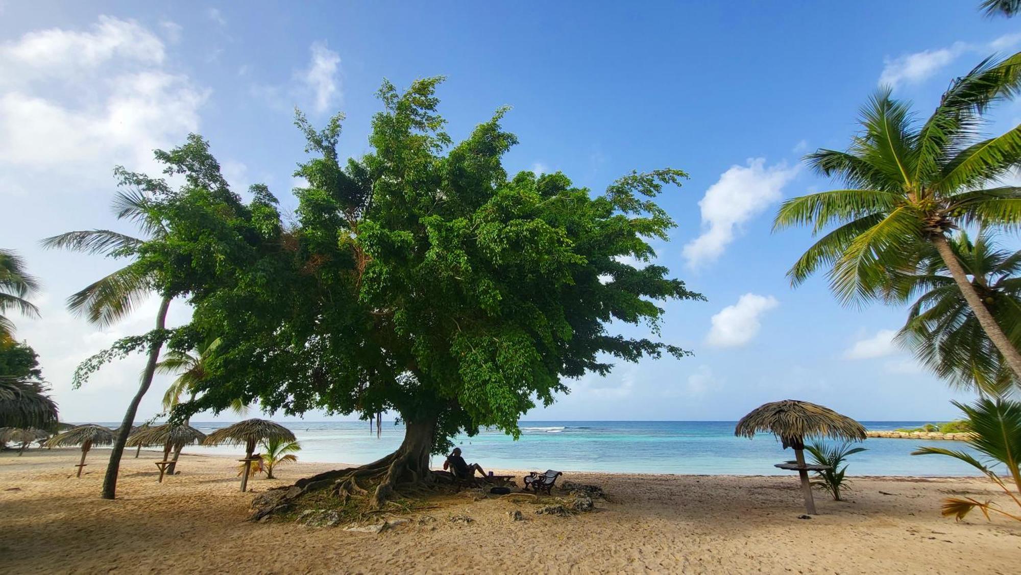 Kaz Lorike - Vue Mer & Piscine Exceptionnelle - Anse Des Rochers Saint-Francois  Exterior photo